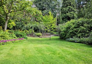 Optimiser l'expérience du jardin à Bellecombe-Tarendol